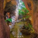 西寧假樹花架洞穴風裝修
