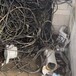 浩合鑫拆除公司承接化工廠整體收購專業拆除隊伍有化工廠拆除資質