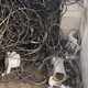 有石油化工拆除資質圖