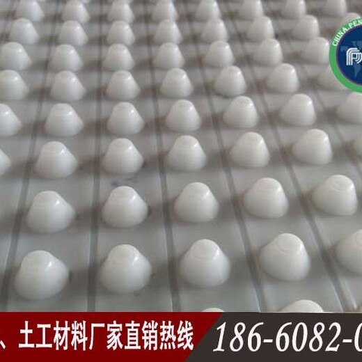 商丘塑料排水板廠家,虹吸排水板歡迎