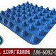 商丘塑料排水板圖