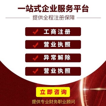 金鳳區(qū)代辦注冊公司財務整理審計報告