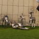 北京不锈钢动物雕塑不锈钢鹿雕塑来图定制产品图