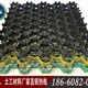 安嶺植草格圖