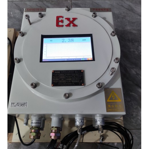 防爆O2氧浓度在线分析系统