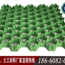 中山植草格中山塑料植草格