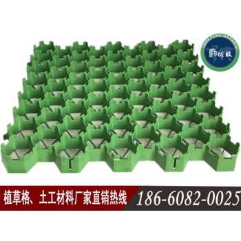 廣州植草格廣州消防通道植草格