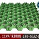 凉山植草格,塑料植草格厂家产品图