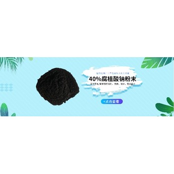 石油助劑40%的腐植酸鈉粉末廠家直供腐鈉腐植酸鈉黑色