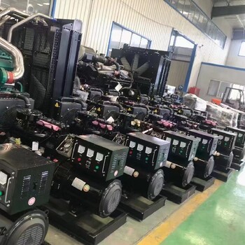 南通啟東柴油發(fā)電機(jī)租賃-應(yīng)急租賃無憂