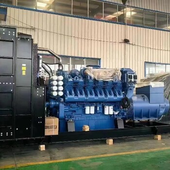 泉州惠安發(fā)電機(jī)出租（惠安）發(fā)電機(jī)租賃/技術(shù)