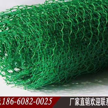 酒泉三維植被網(wǎng)酒泉三維土工網(wǎng)墊