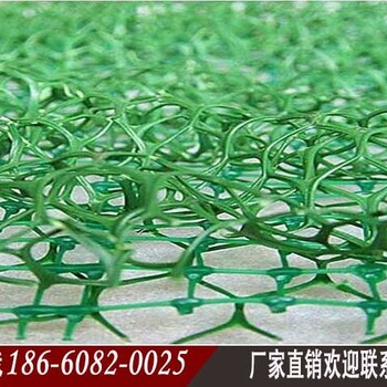 酒泉三維植被網(wǎng)酒泉三維土工網(wǎng)墊