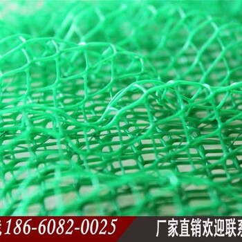 酒泉三維植被網(wǎng)酒泉三維土工網(wǎng)墊