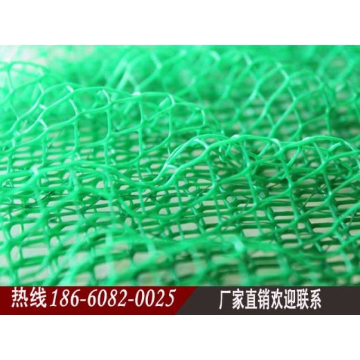 青海三维植被网,三维土工网垫