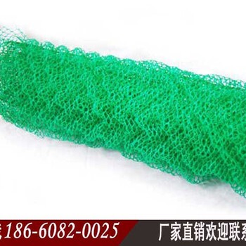 酒泉三維植被網(wǎng)酒泉三維土工網(wǎng)墊