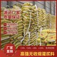 达州一类灌浆料CGM-1早强高强灌浆料展示图