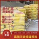 支座灌漿料用途圖