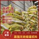 海南CGM-1灌漿料圖