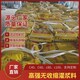 支座灌漿料廠家圖