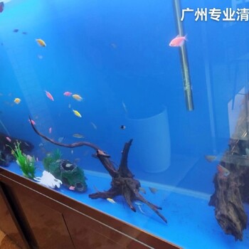 美華水族廣州荔灣魚(yú)缸清潔魚(yú)池清洗