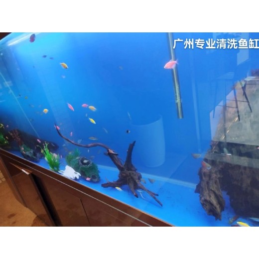 广东广州海珠承接清洗鱼缸报价