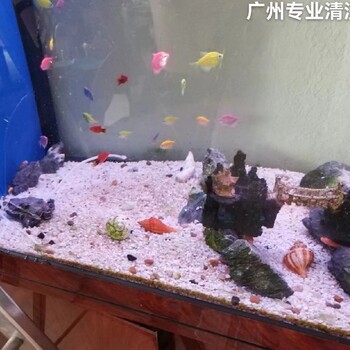 廣東廣州天河從事清洗魚缸