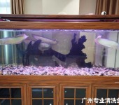 美华水族广州黄埔清洁鱼缸