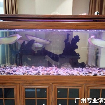 美華水族廣州荔灣魚(yú)缸清潔魚(yú)池清洗