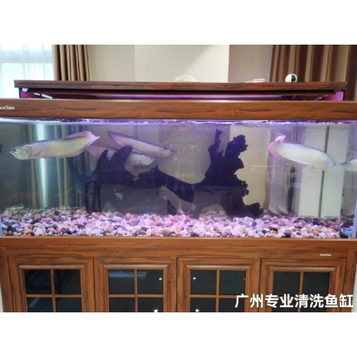 广东广州白云从事清洗鱼缸价格