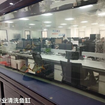 廣東廣州天河從事清洗魚缸