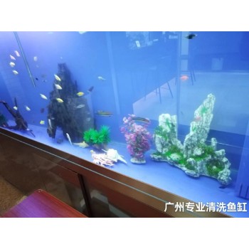 广东广州南沙承接清洗鱼缸费用