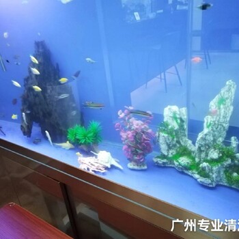 廣東廣州天河從事清洗魚缸
