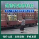 德陽(yáng)快速修補(bǔ)砂漿快速通車(chē)路面修補(bǔ)材料展示圖