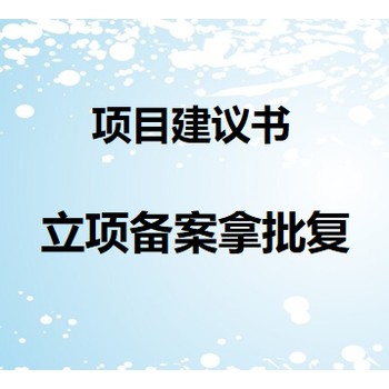 扬州仪征市政项目项目申请书编写-费用低-项目申请报告