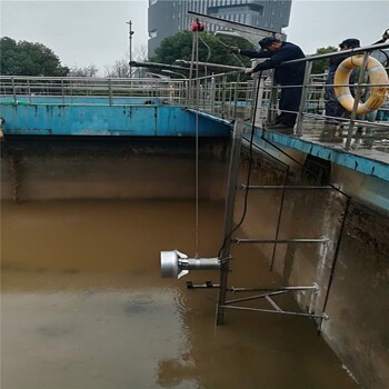 泰州生物池混合液搅拌机