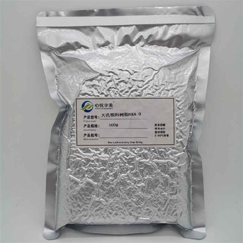 NKA-9吸附樹脂強度高高聚合物