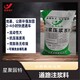 江西地基下沉注漿料圖