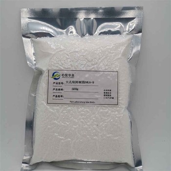 NKA-9吸附樹脂強度高高聚合物