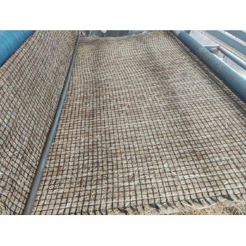 沧州生态治理植物纤维毯