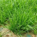 晉城水土流失治理植物纖維毯