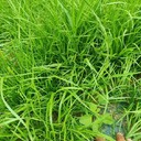 寧波礦山綠化植物纖維毯