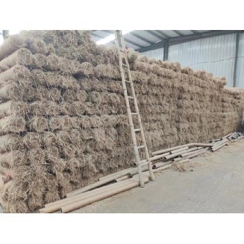 寧河礦山綠化植物纖維毯