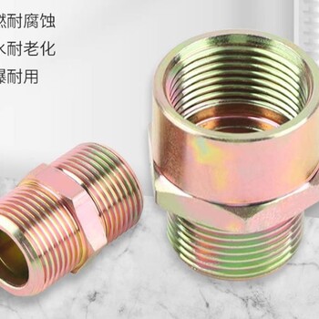 燃氣防爆管接頭振磊防爆防爆管接頭品牌
