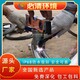 音樂噴泉圖