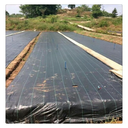 福建防草布適用于果樹苗木,龍巖除草布一畝價格,蓋草布電話
