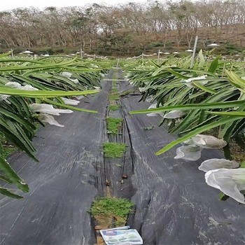 哈尔滨园艺地布果园铺盖防草,pp防草布厂家