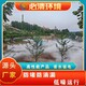 噴霧設(shè)備圖