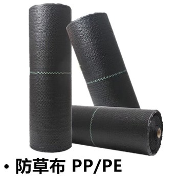 石家莊pe防草布,打孔PP蓋草布