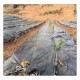 打孔防草布,果園果樹除草蔬菜園藝遮草布,保濕透氣產(chǎn)品圖